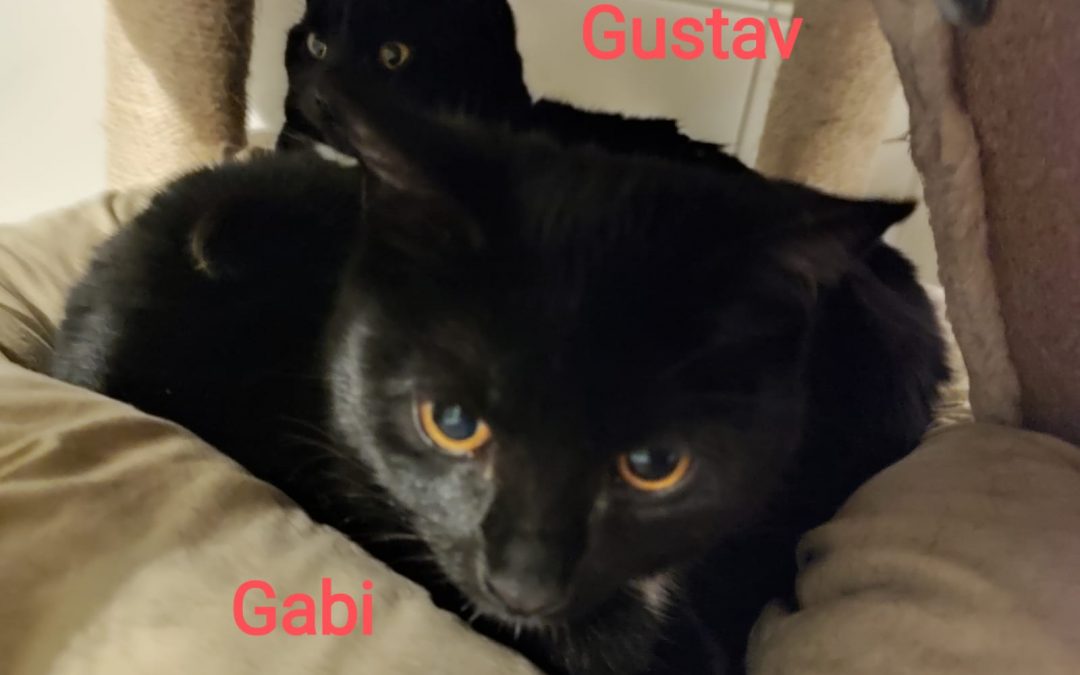 Gustav und Gabi