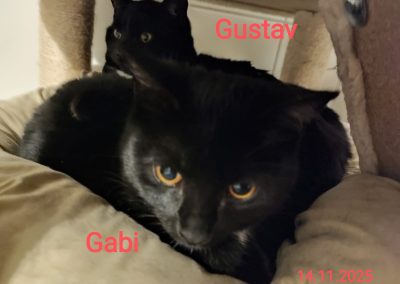Gustav und Gabi