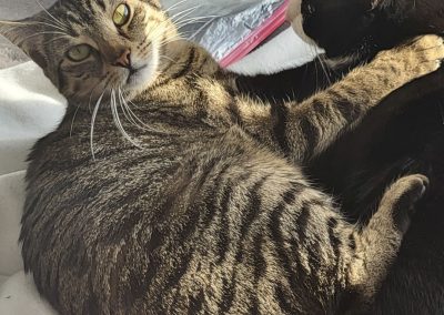 Kitty und Karlchen