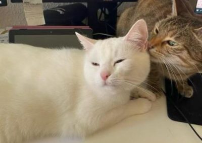 Ivy und Luna