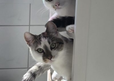 Luigi und Linnea