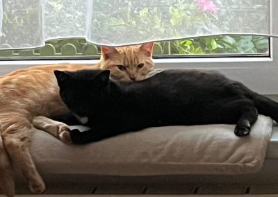 Cody und Coco